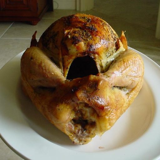 Perfecto Pavo Asado